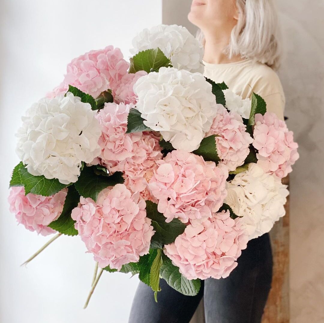 35 Розовых Гортензий